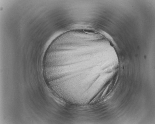 X0000073921435200609011758