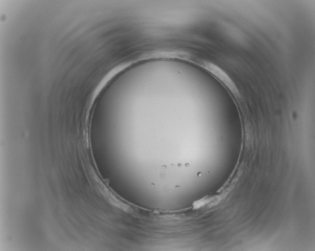 X0000073921436200609011758