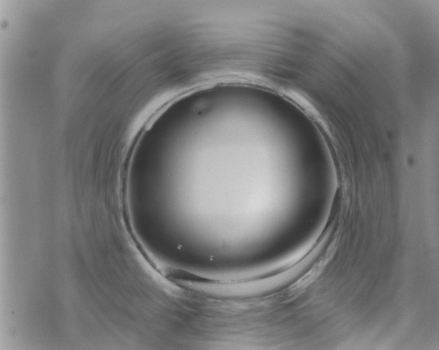 X0000073921438200609011758