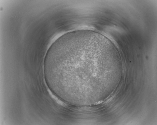 X0000073921439200609011758