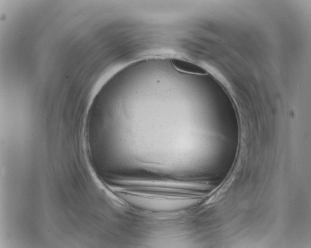 X0000073921440200609011758