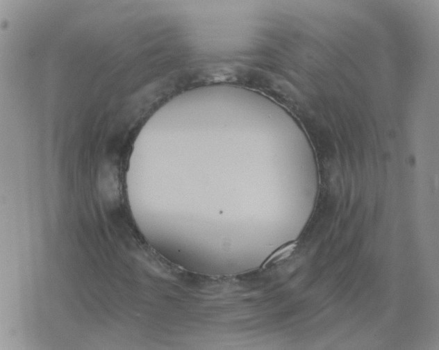 X0000073921442200609011757