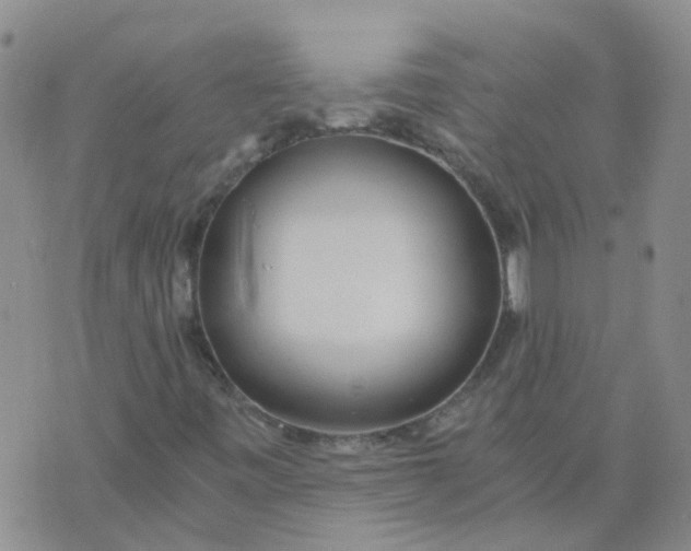 X0000073921443200609011757