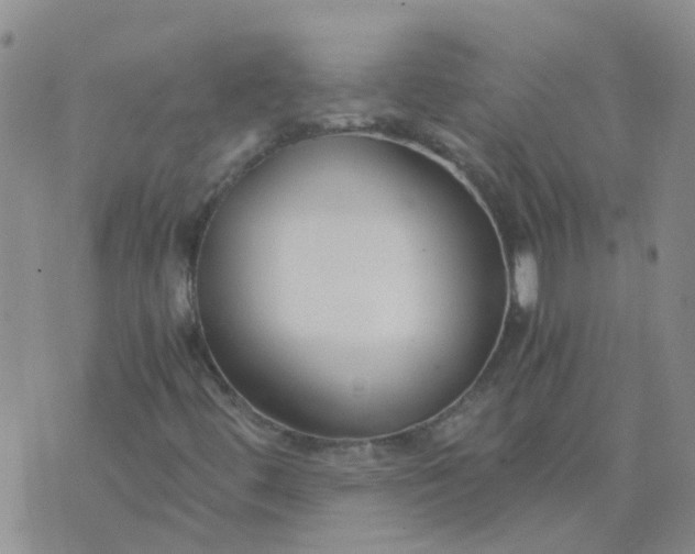 X0000073921444200609011757