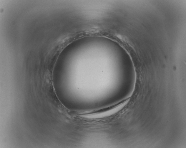 X0000073921445200609011757