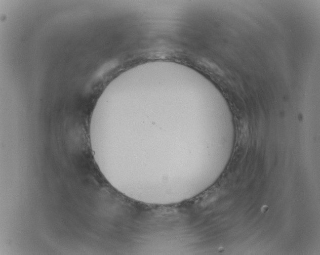 X0000073921446200609011757