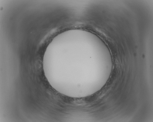 X0000073921447200609011757