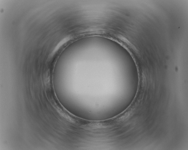 X0000073921450200609011757