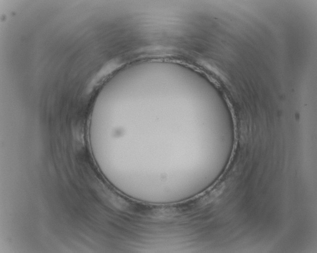 X0000073921451200609011757