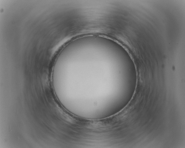 X0000073921452200609011757