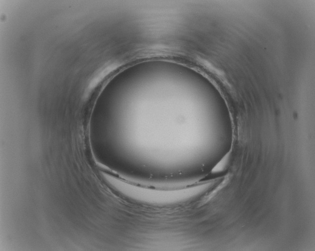 X0000073921453200609011757