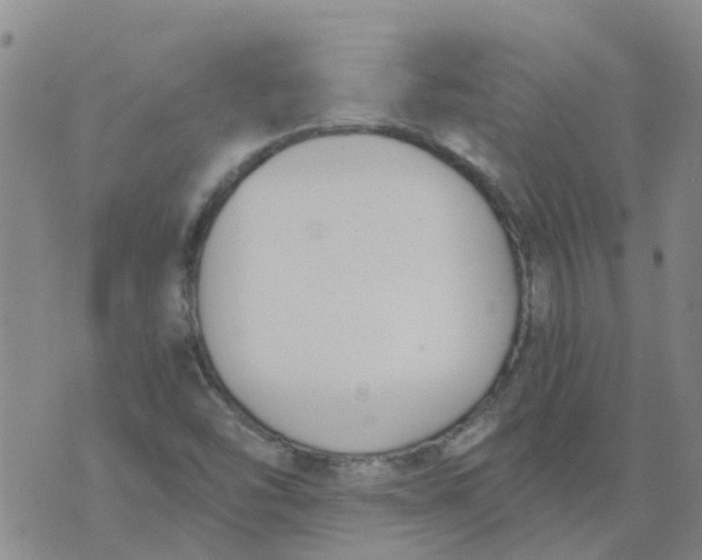 X0000073921454200609011757