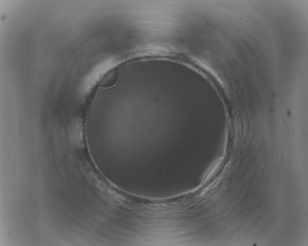 X0000073921455200609011757