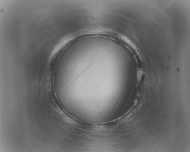 X0000073921456200609011757