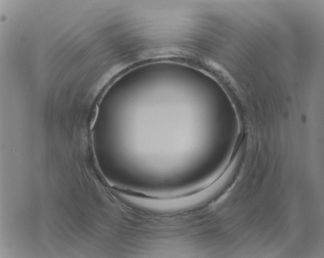 X0000073921457200609011757