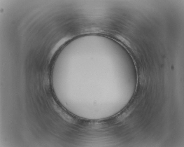 X0000073921458200609011757