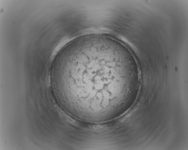 X0000073921459200609011757