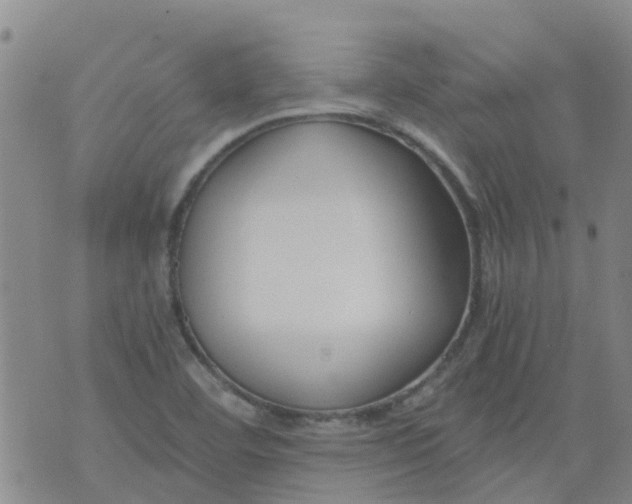 X0000073921460200609011757