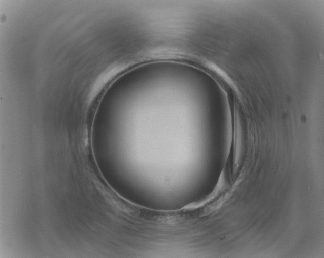 X0000073921461200609011757