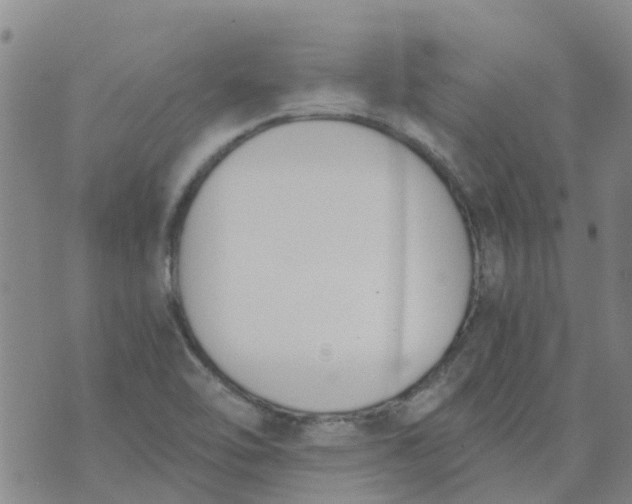 X0000073921462200609011757