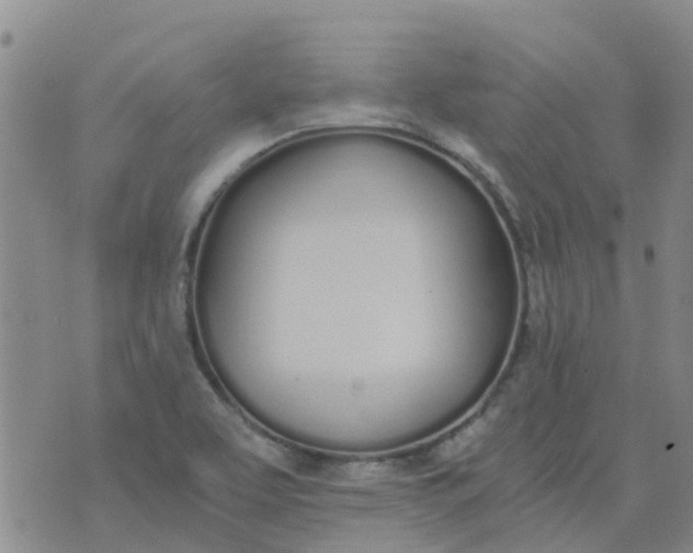 X0000073921463200609011757