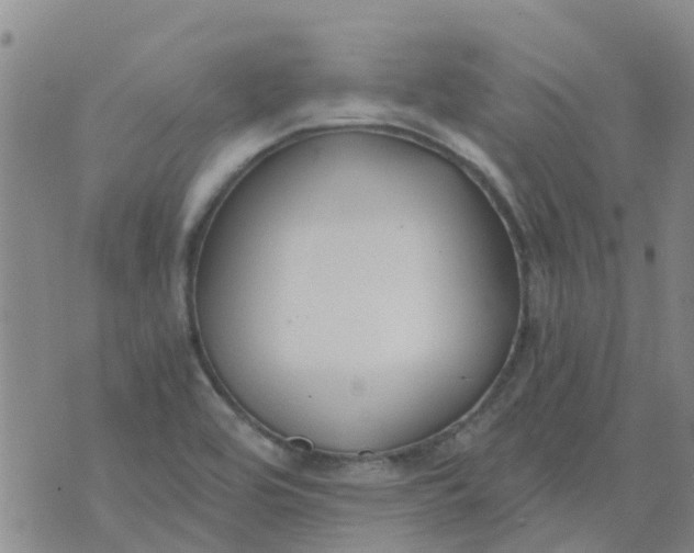 X0000073921464200609011757