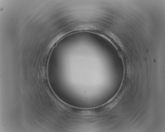 X0000073921465200609011757