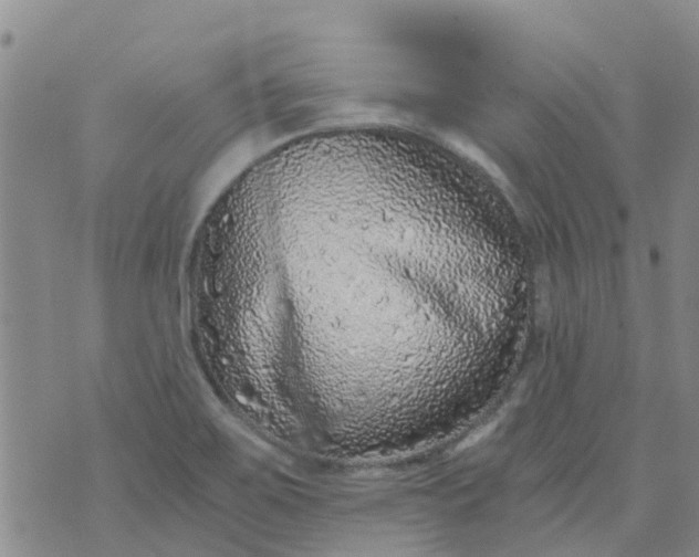 X0000073921467200609011757