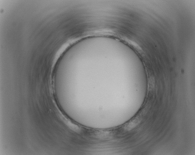 X0000073921470200609011757