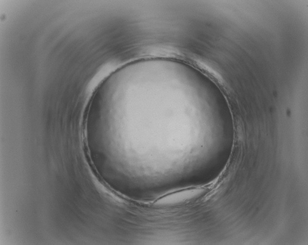 X0000073921471200609011757