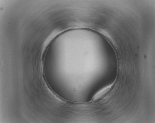 X0000073921472200609011757