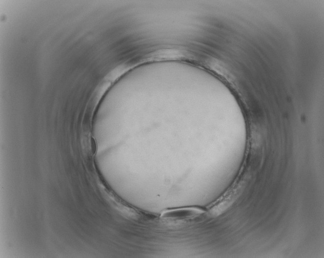 X0000073921473200609011757