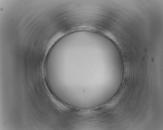 X0000073921474200609011757