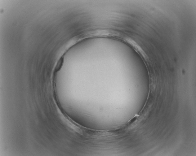 X0000073921475200609011757