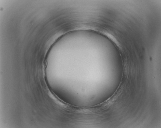 X0000073921476200609011757