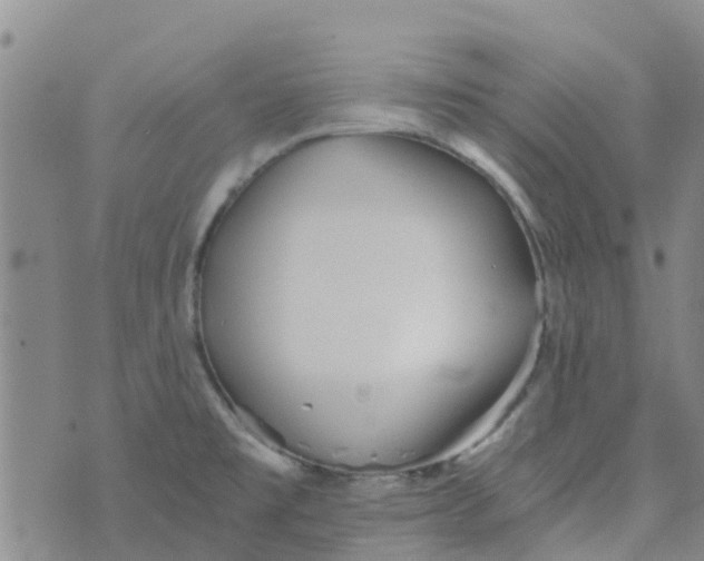 X0000073921477200609011757