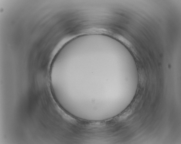 X0000073921478200609011757