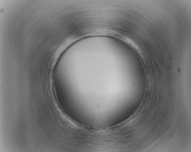 X0000073921480200609011757