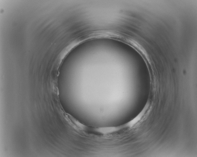 X0000073921481200609011756