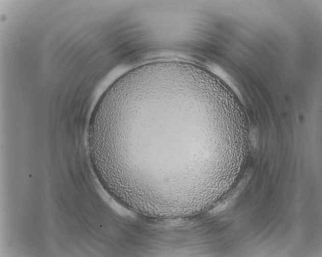 X0000073921482200609011756