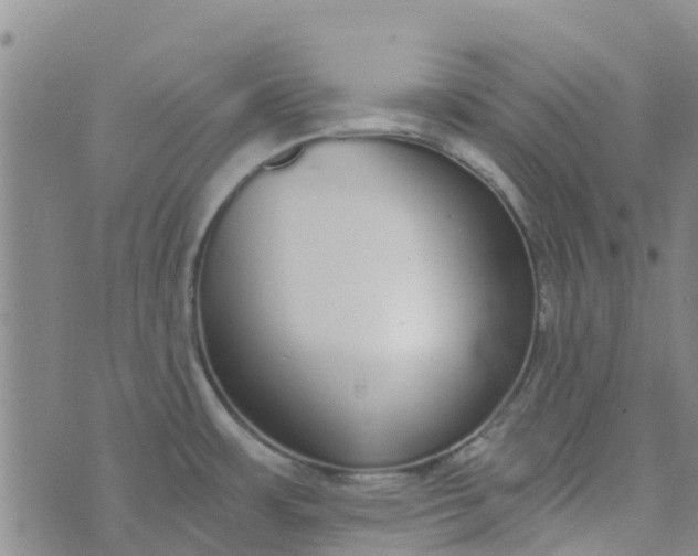 X0000073921483200609011756