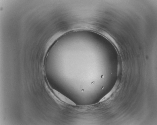 X0000073921485200609011756