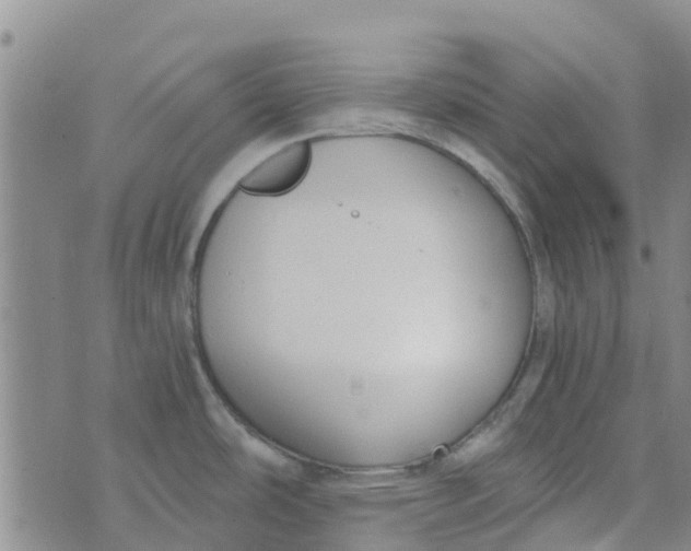 X0000073921486200609011756