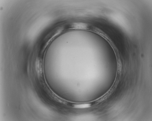 X0000073921487200609011756