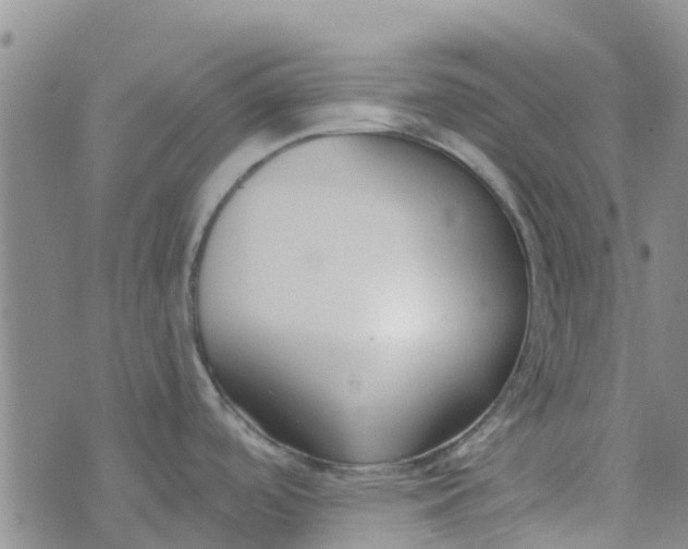 X0000073921488200609011756