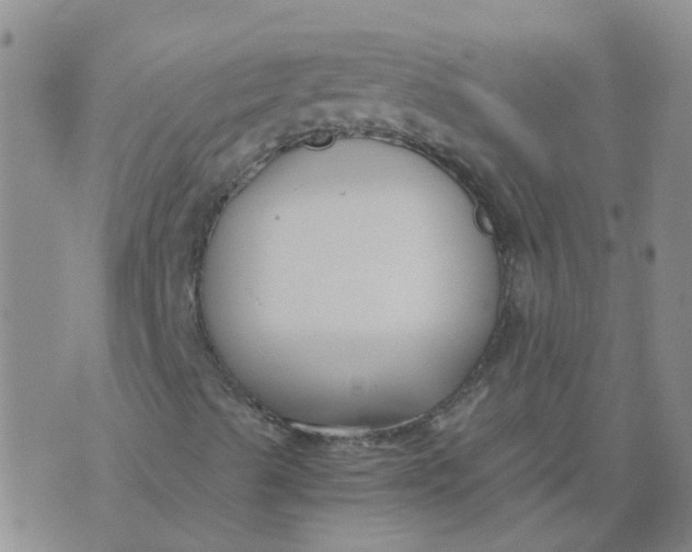 X0000073921489200609011756