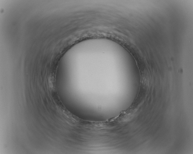 X0000073921490200609011756