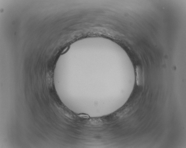 X0000073921491200609011756