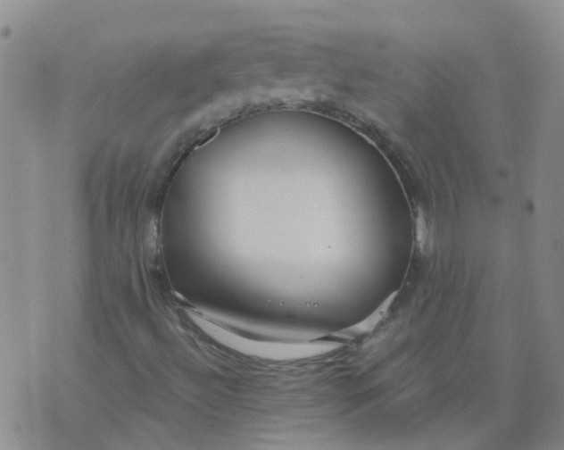 X0000073921492200609011756