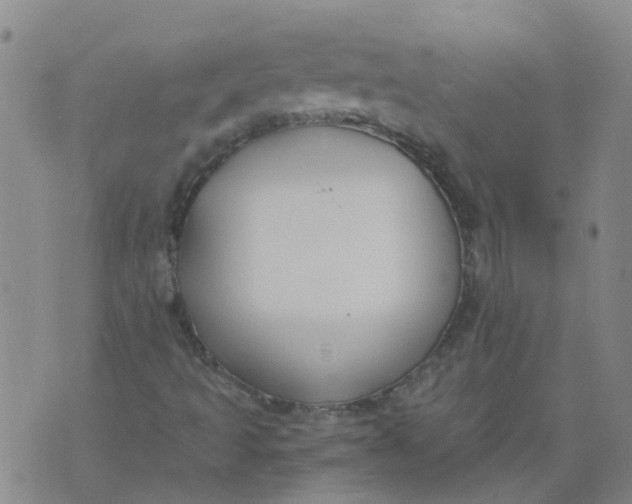 X0000073921493200609011756